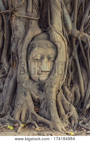 Buddha