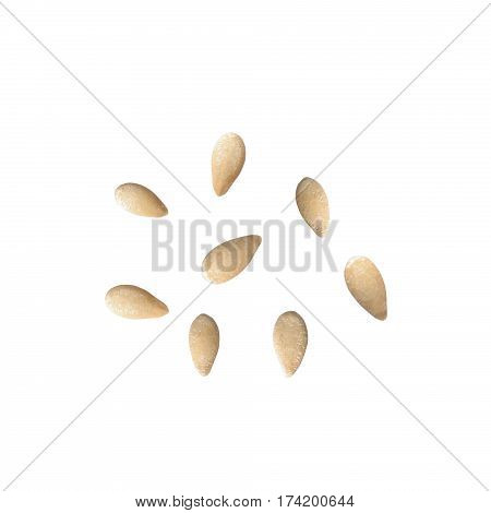 Seeds of Melothria scabra on white background