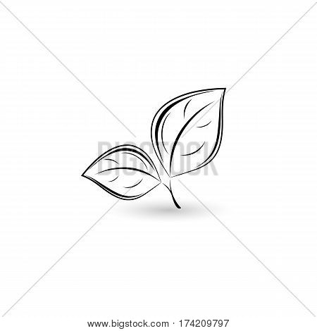Isolated black leaf. Element for design. Vector illustration.