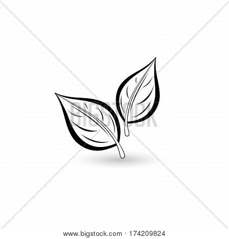 Isolated black leaf. Element for design. Vector illustration.