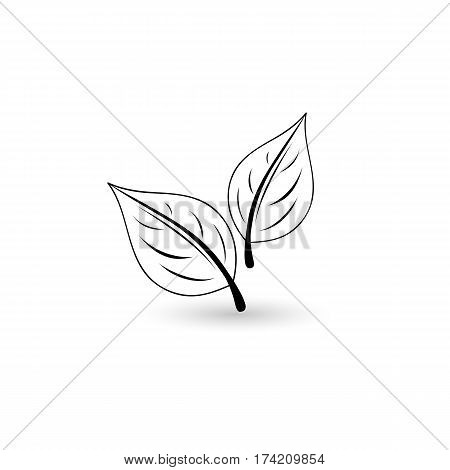 Isolated black leaf. Element for design. Vector illustration.