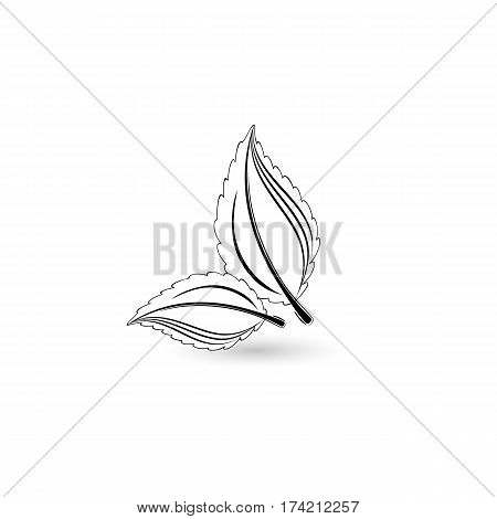 Isolated black leaf. Element for design. Vector illustration.