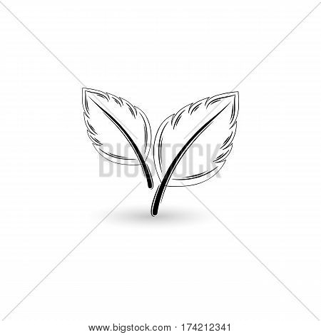 Isolated black leaf. Element for design. Vector illustration.