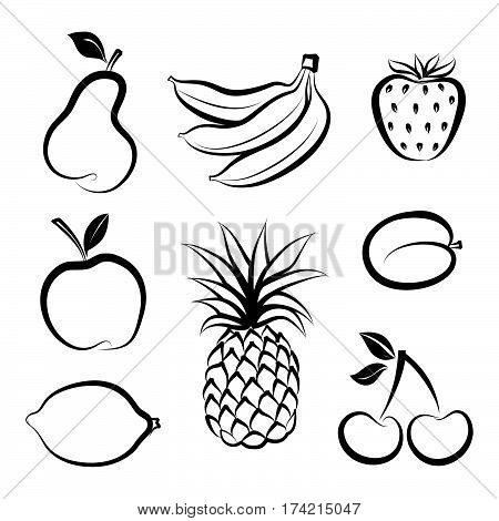 Fruit icon set. Hand drawn sketch collection of fruita and berries.