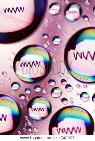 Www