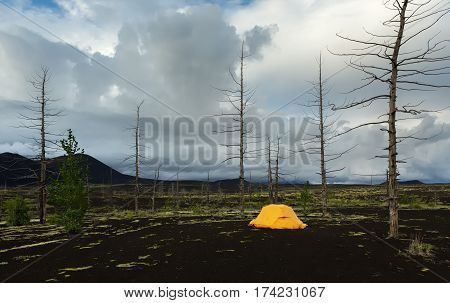 Tourist tent in Dead wood - a consequence of a catastrophic release of ash during the eruption of the volcano in 1975 Tolbachik