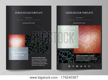 Business templates for brochure, magazine, flyer, booklet or annual report. Cover design template, easy editable vector, abstract flat layout in A4 size. Chemistry pattern, molecular texture, polygonal molecule structure, cell. Medicine, science, microbio