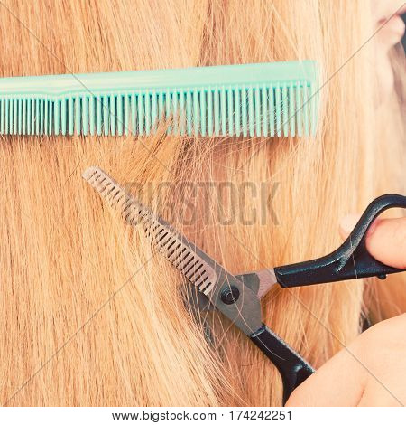 Woman Cutting Down Smoothy Hair.