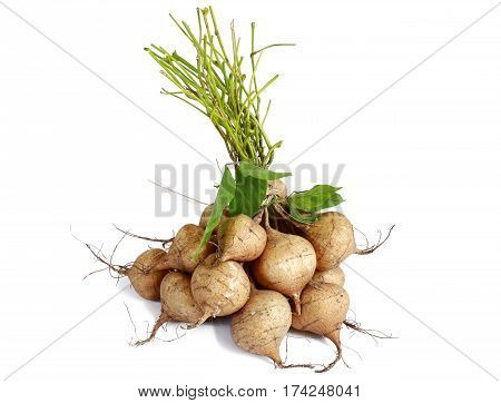 heap of Jicama isolated on white background.