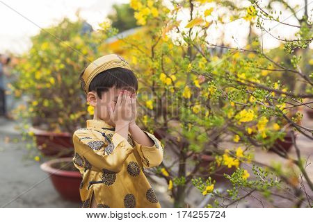Happy kid having fun with traditional dress (ao dai) in Ochna Integerrima (Hoa Mai) garden. Hoa Mai flower is used for decoration in lunar new year in Vietnam. Tet holiday.