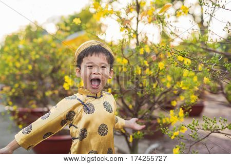 Happy kid having fun with traditional dress (ao dai) in Ochna Integerrima (Hoa Mai) garden. Hoa Mai flower is used for decoration in lunar new year in Vietnam. Tet holiday.