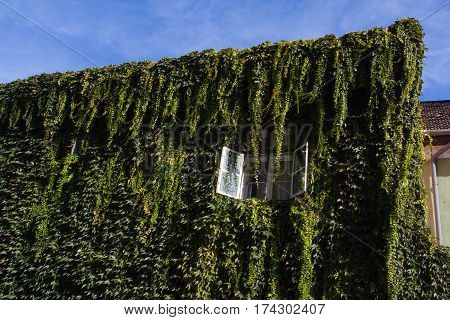 House in Esztergom. Hungary. Europe. Cityscape. Architecture.