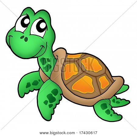 Little sea turtle - color illustration.