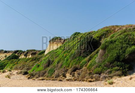 Ionian sea coastline at gerakas beach in Zakynthos island