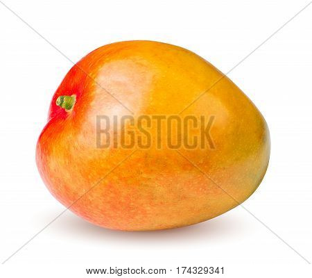 Isolated organic mango. Mango fruit isolated on white background with clipping path
