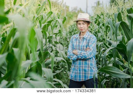 woman farmer on green corn field in agricultural garden