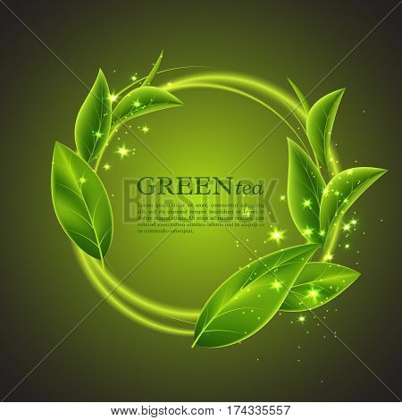 Realistic green tea leaves with glowing waves. Abstract eco background for cosmetic design. Vector illustration.