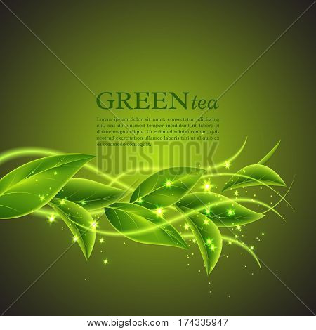 Realistic green tea leaves with glowing waves. Abstract eco background for cosmetic design. Vector illustration.