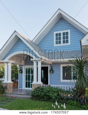 Bright Blue House In Sunlght With Colorful Poppies And Some Graceful Trees
