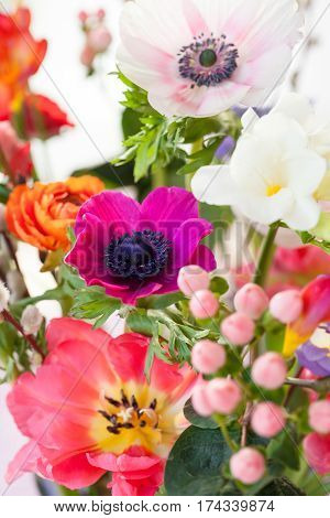 A Variety of colorful blooming spring flowers