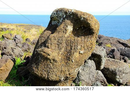 Moai Statue