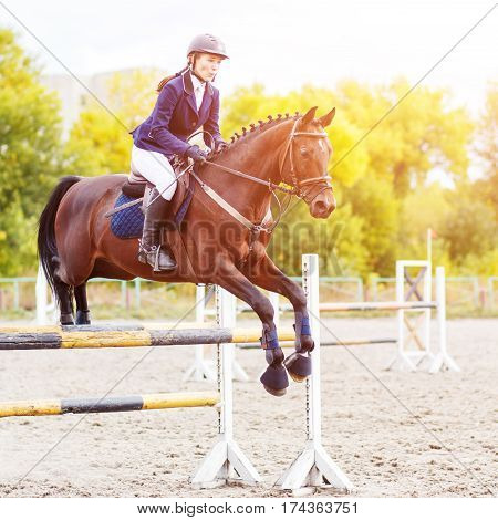 Young horseback sportswoman jumping over obstacles on show jumping competition
