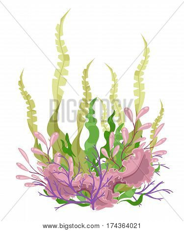 Sea Plants And Aquatic Marine Algae Seaweed Set Vector Illustration. Yellow And Brown, Red And Green
