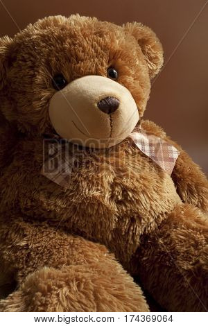 forgotten alone teddy bear portrait loneliness abandoned