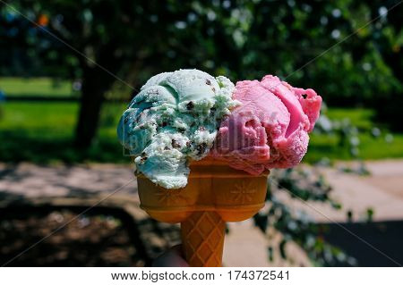 Two scoops of mint chocolate chip and berry ice-cream in a wafer cone held in hand against the green trees and grass.