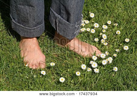com os pés descalços e margaridas