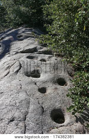 Huge boulder with many morteros (grinding holes) used by Native Americans to prepare acorn food, on Palomar Mountain, CA.