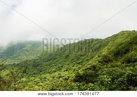 Rainforest landscape view in Monteverde Costa Rica