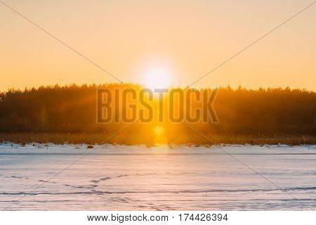 Sun Over Horizon Woods Or Forest With Orange Sunset Sky. Natural Colors Of Evening Sky At Sunset. Nature Forest Or Park Landscape