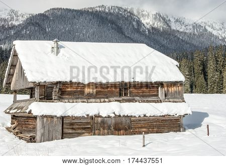 Scenic high alpine meadow Zajavornik in Slovenia during winter time