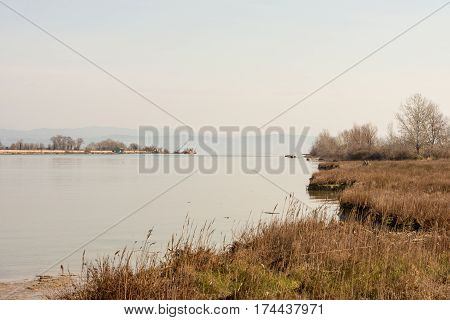 Scenic nature reserve park of river mouth of Isonzo