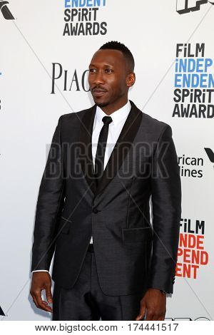 LOS ANGELES - FEB 25:  Mahershala Ali at the 32nd Annual Film Independent Spirit Awards at Beach on February 25, 2017 in Santa Monica, CA
