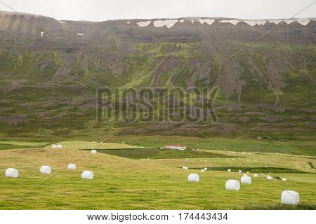 Scenic and tranquil landscape in Iceland during summer time