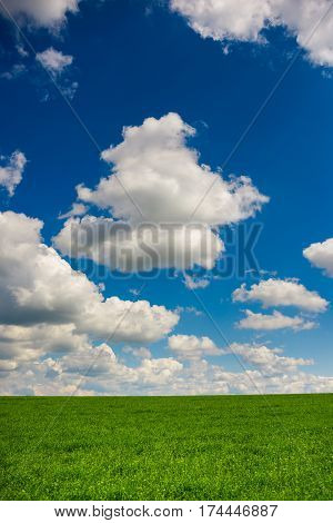 Green Grass And Blue Sky With White Clouds