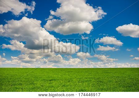 Green Grass And Blue Sky With White Clouds
