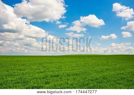 Green Grass And Blue Sky With White Clouds