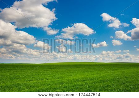 Green Grass And Blue Sky With White Clouds