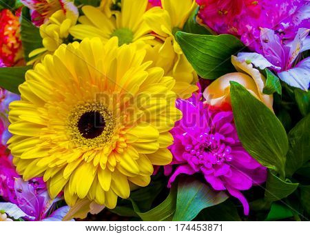 gerbera. bouquet of flowers. bouquet of flowers roses gerbera flowers carnations