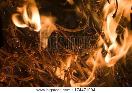 The fire from the burning bales of soya, photographed stove in a small village near Novi Sad, Serbia