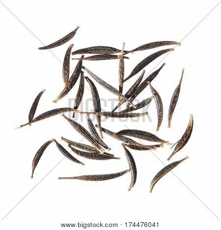 Seeds of garden cosmos (Cosmos bipinnatus) isolated on white background