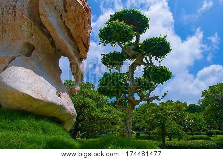 Nong Nooch Tropical Botanical Garden at Phuket