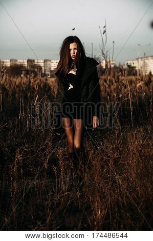 Autumn Outdoor Porttrait Of Young Pretty Elegant Girl Posing .
