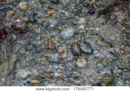 A closeup shot of a Pacific Northwest streambed with clear water and rocks.
