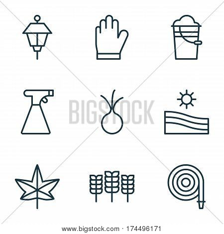Set Of 9 Garden Icons. Includes Autumn Plant, Wheat, Meadow And Other Symbols. Beautiful Design Elements.