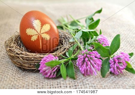 Happy Easter: Egg in the nest and red clover flowers