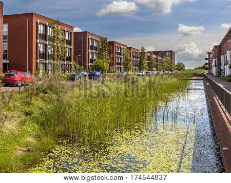 Eco Friendly Urban Area